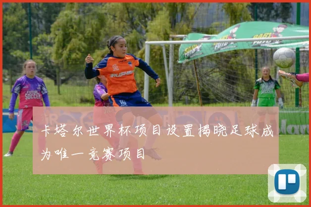 卡塔尔世界杯项目设置揭晓足球成为唯一竞赛项目