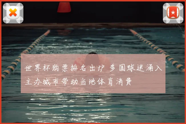 世界杯购票排名出炉 多国球迷涌入主办城市带动当地体育消费