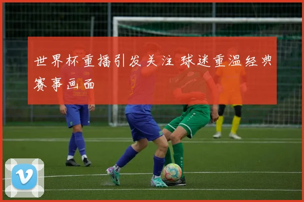 世界杯重播引发关注 球迷重温经典赛事画面