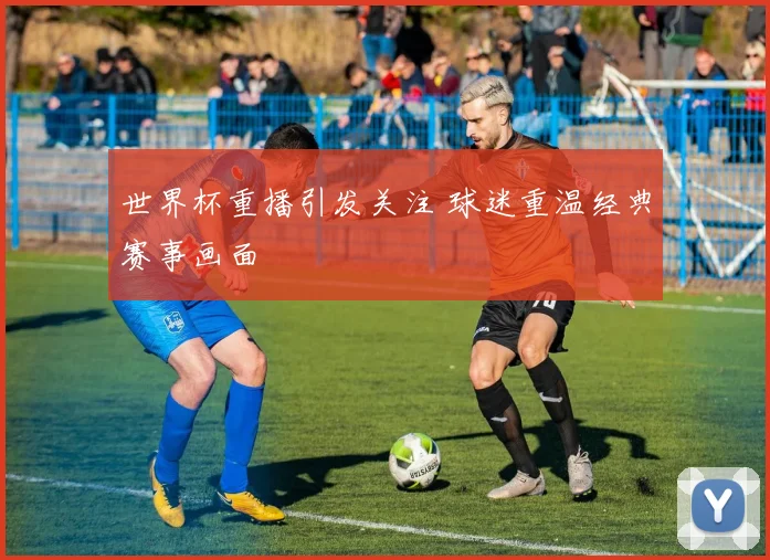 世界杯重播引发关注 球迷重温经典赛事画面
