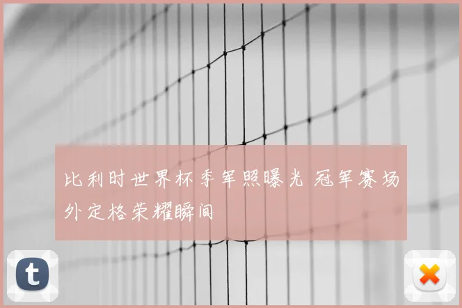 比利时世界杯季军照曝光 冠军赛场外定格荣耀瞬间